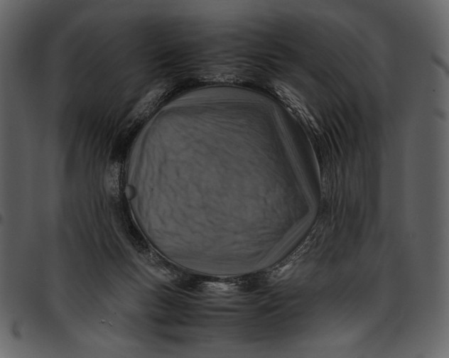 X0000096940167200802291041