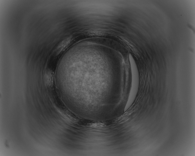 X0000096940168200802291041