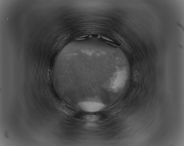 X0000096940169200802291041