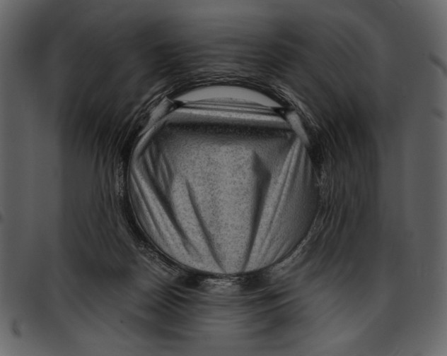 X0000096940170200802291041