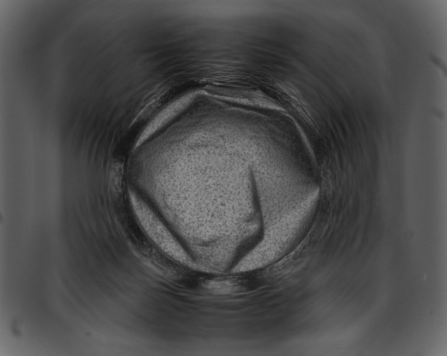 X0000096940171200802291041