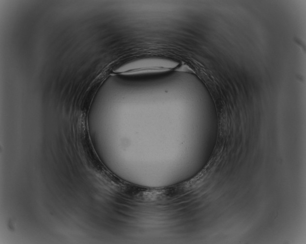 X0000096940172200802291041