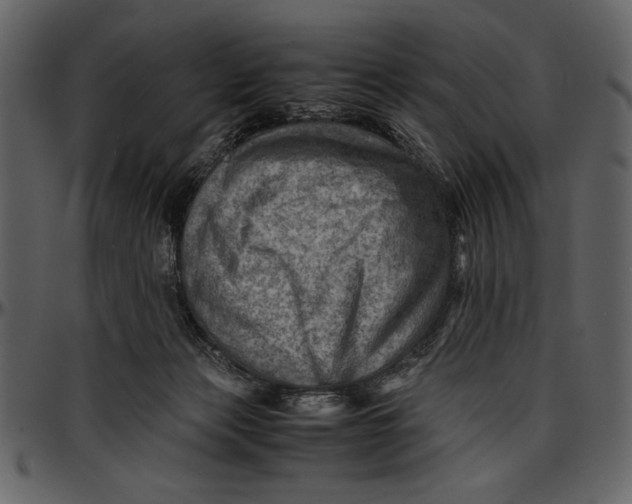 X0000096940173200802291041