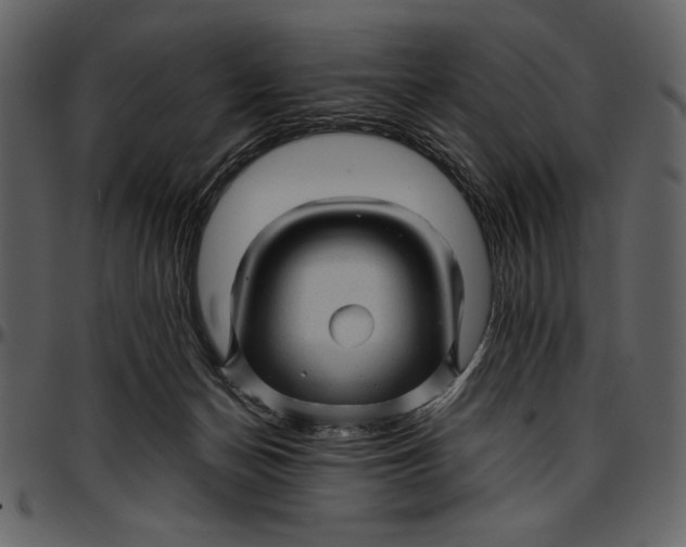 X0000096940174200802291041