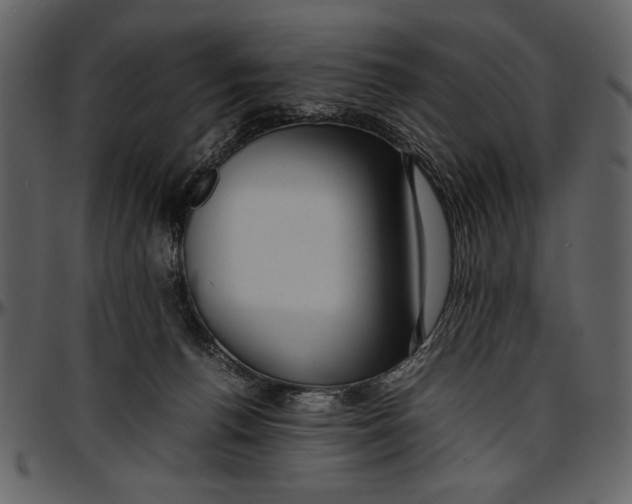 X0000096940176200802291041