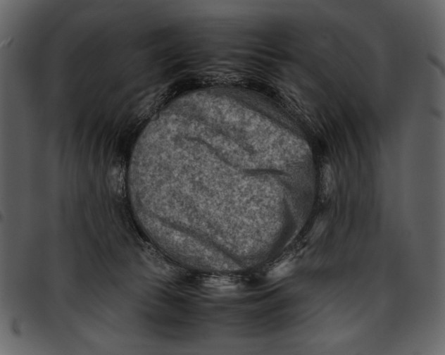 X0000096940177200802291041