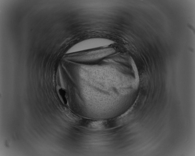 X0000096940178200802291041