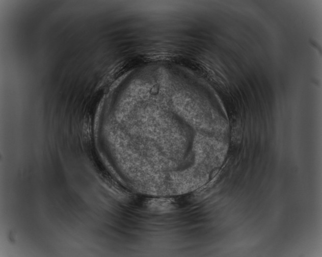 X0000096940179200802291041