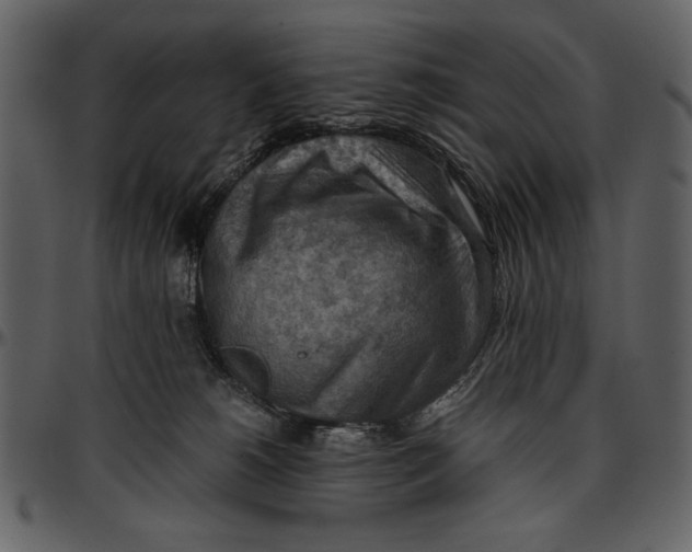 X0000096940180200802291041