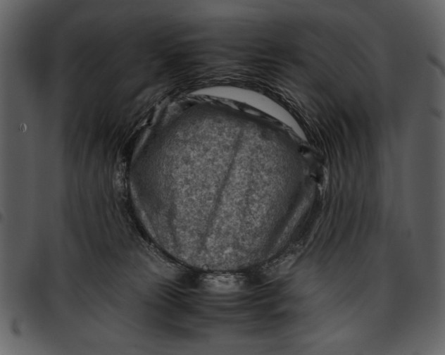 X0000096940181200802291041