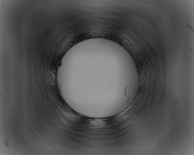 X0000096940183200802291041