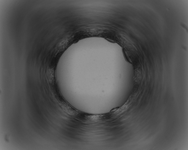 X0000096940184200802291041