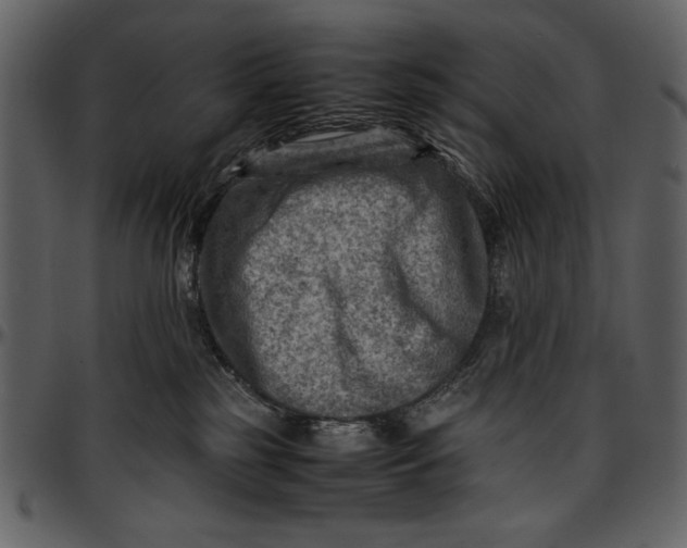 X0000096940185200802291042