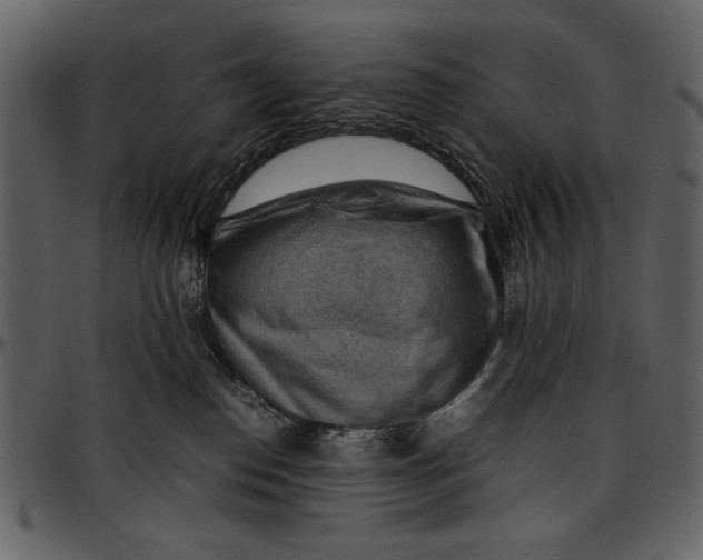 X0000096940186200802291042