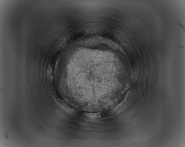 X0000096940187200802291042