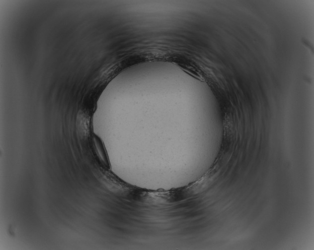 X0000096940188200802291042