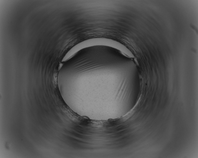 X0000096940190200802291042