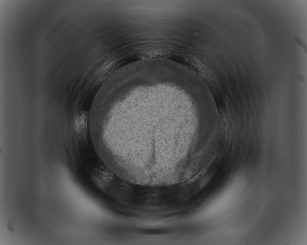 X0000096940191200802291042