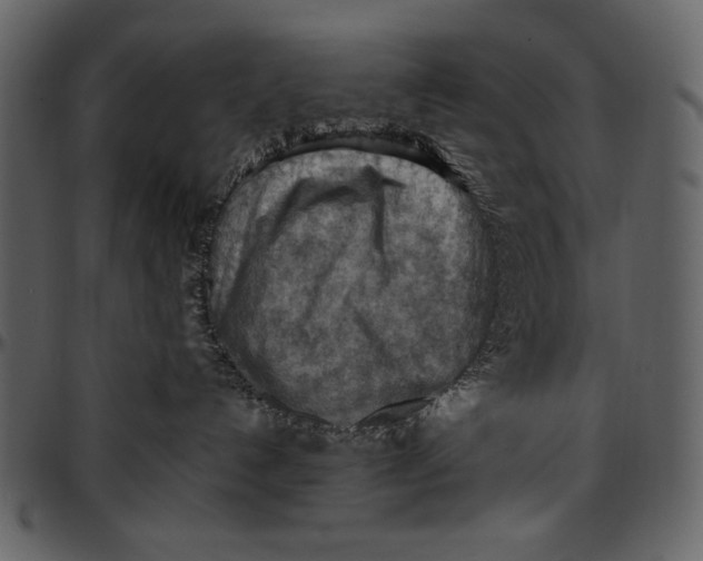 X0000096940192200802291042