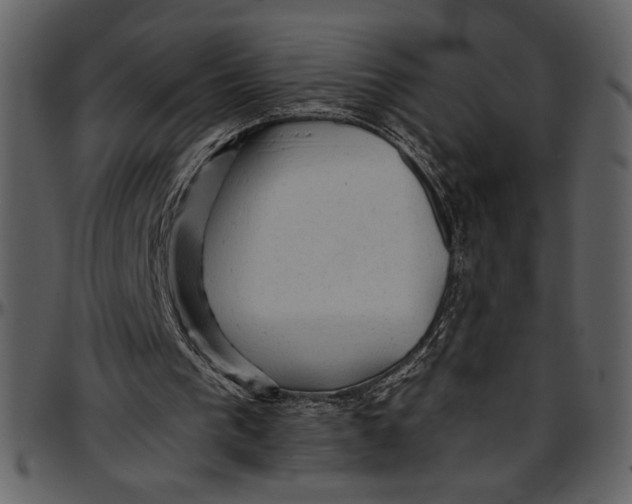 X0000096940193200802291041