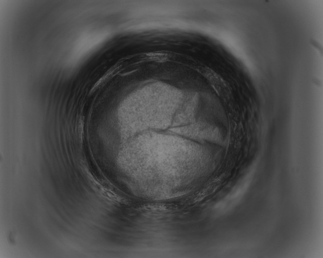 X0000096940194200802291041