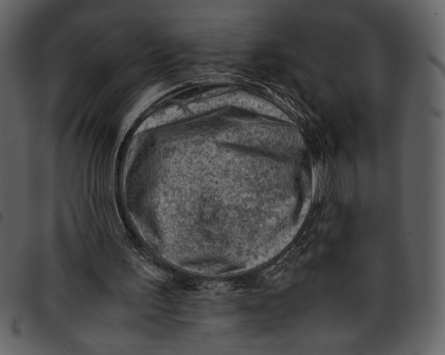 X0000096940195200802291041