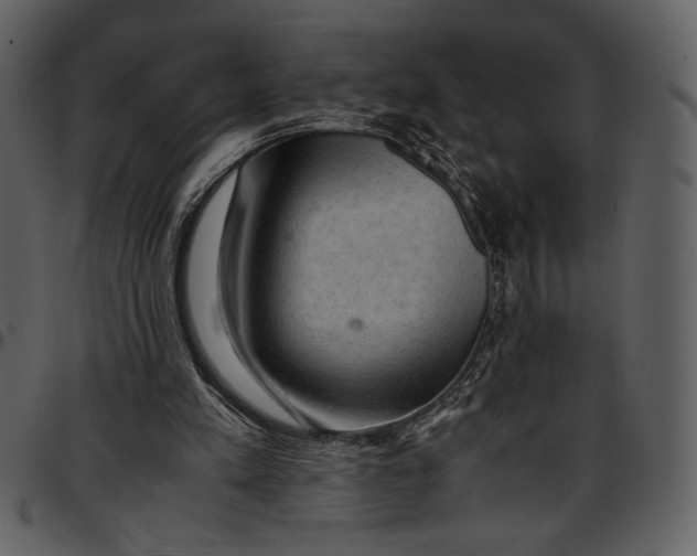 X0000096940197200802291041