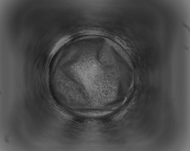 X0000096940199200802291041