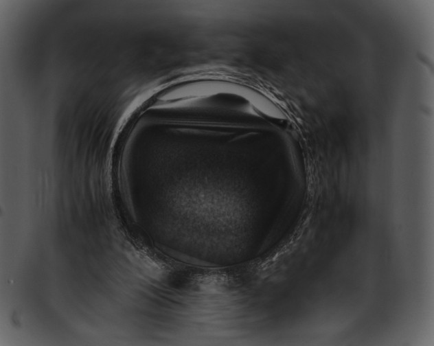 X0000096940200200802291041