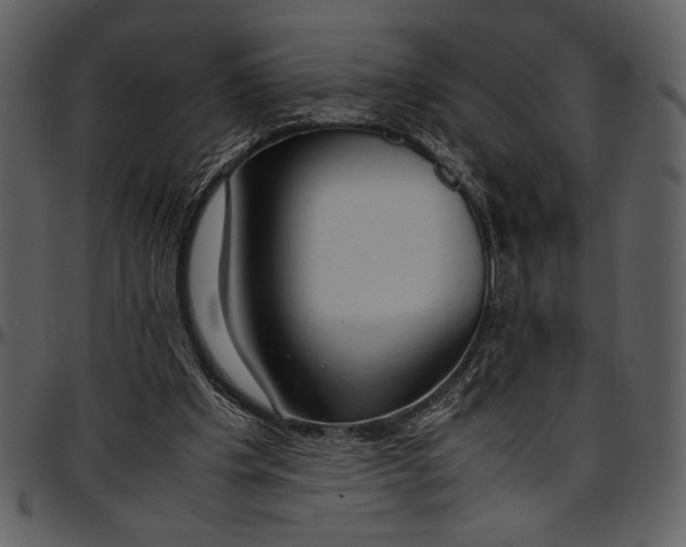 X0000096940201200802291041