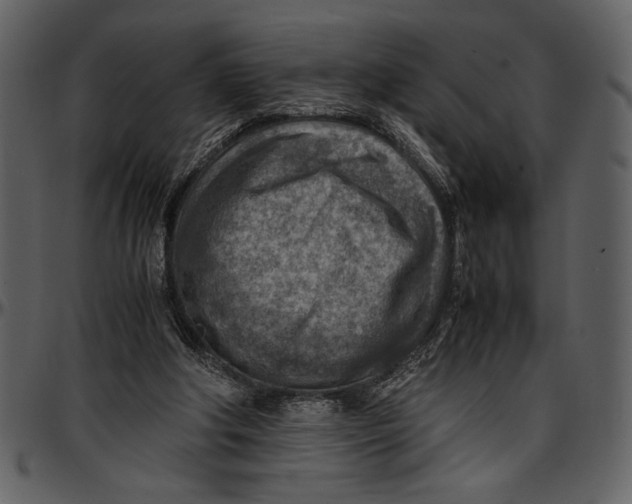 X0000096940202200802291041