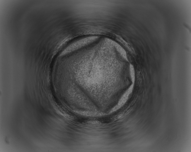 X0000096940203200802291041