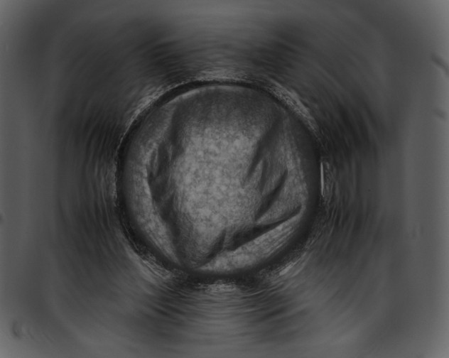 X0000096940204200802291041