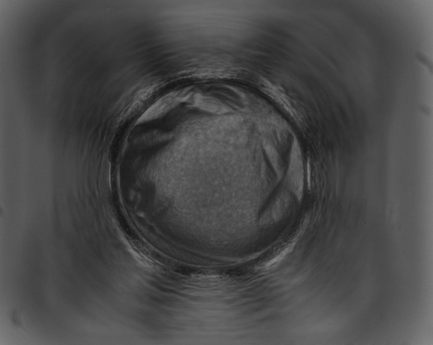 X0000096940205200802291041