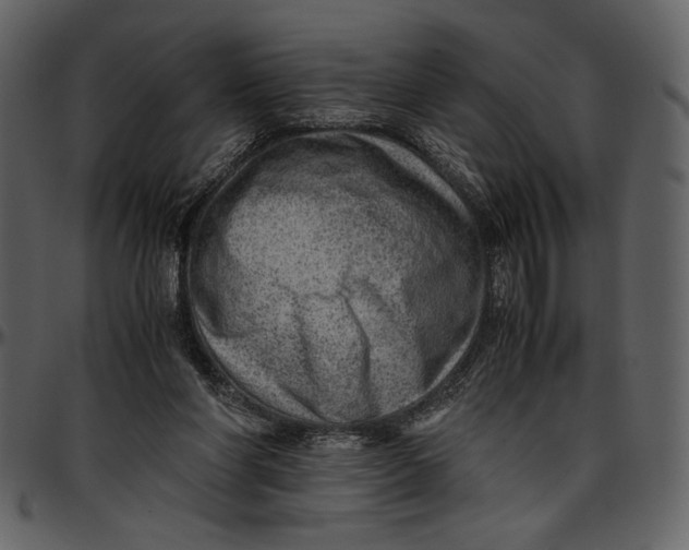 X0000096940206200802291041