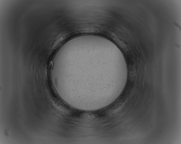 X0000096940207200802291041