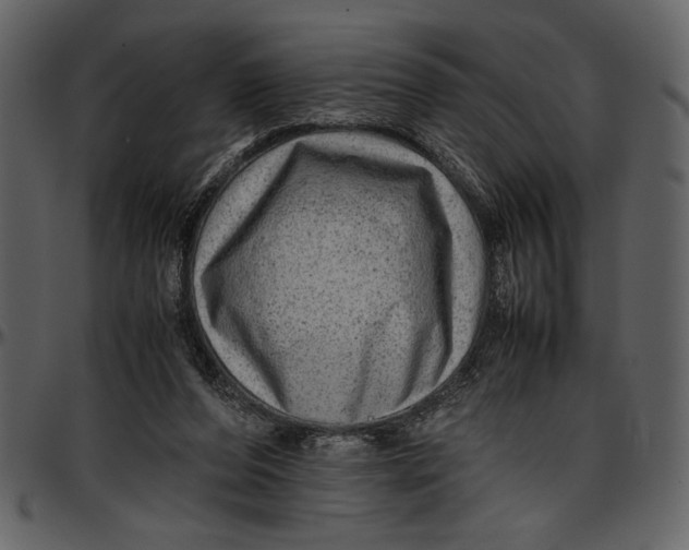 X0000096940208200802291041