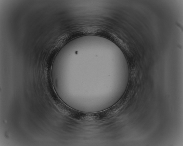 X0000096940209200802291041