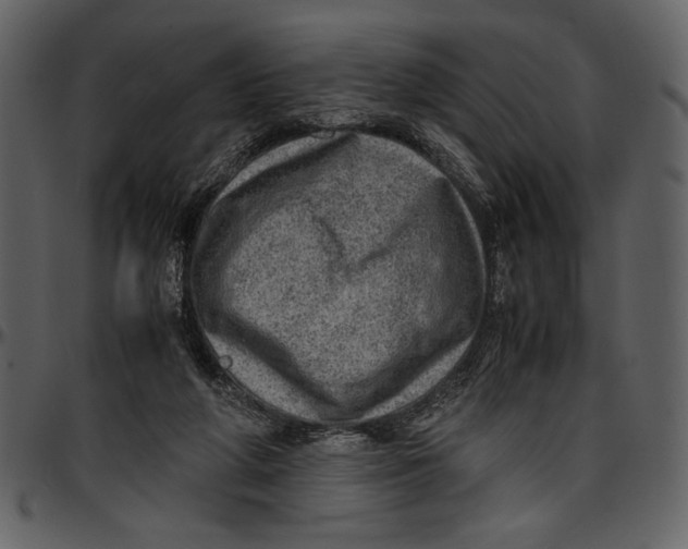 X0000096940210200802291041