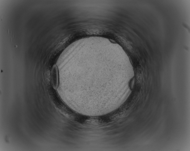 X0000096940211200802291041