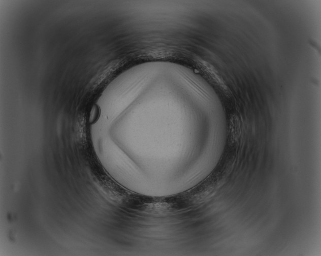 X0000096940212200802291041