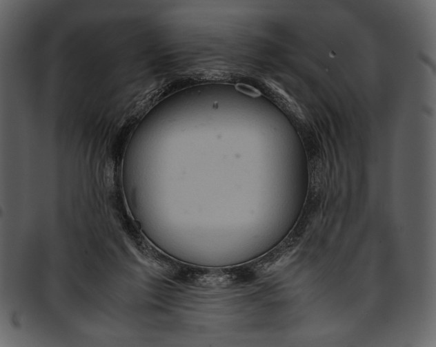 X0000096940213200802291041