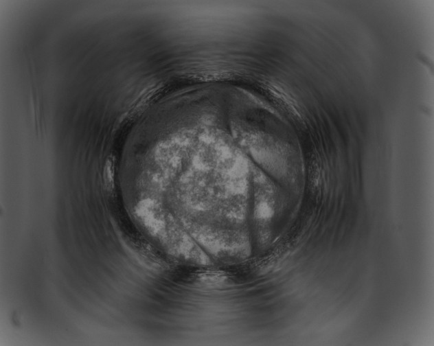 X0000096940214200802291041