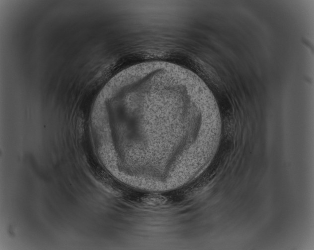 X0000096940215200802291041