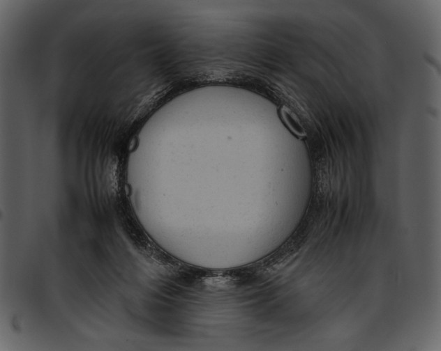 X0000096940216200802291041