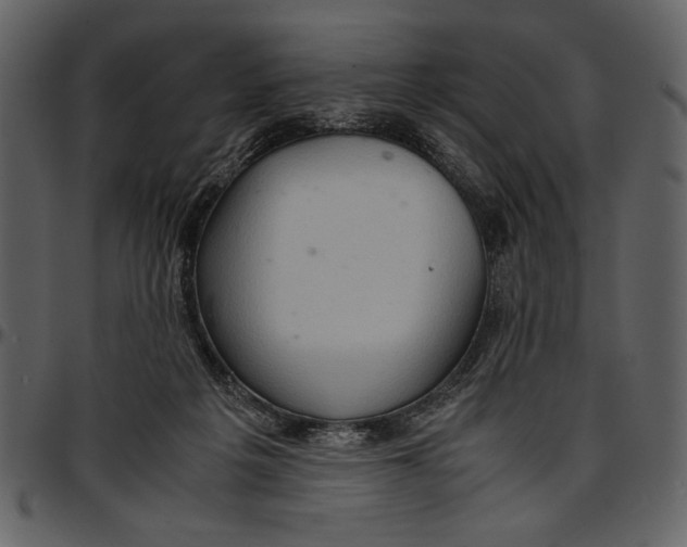 X0000096940217200802291041