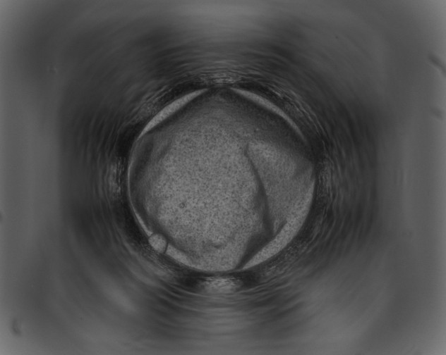 X0000096940218200802291041