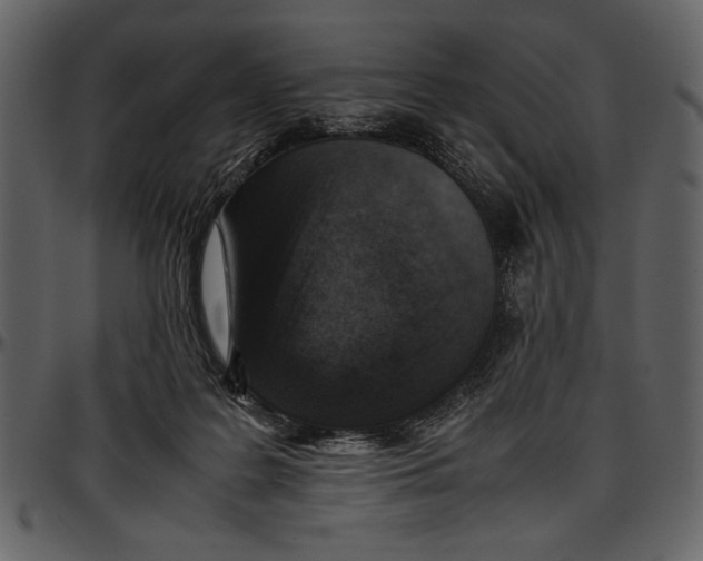 X0000096940219200802291041