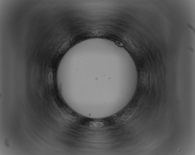 X0000096940220200802291041