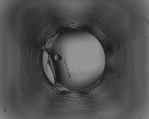 X0000096940221200802291041